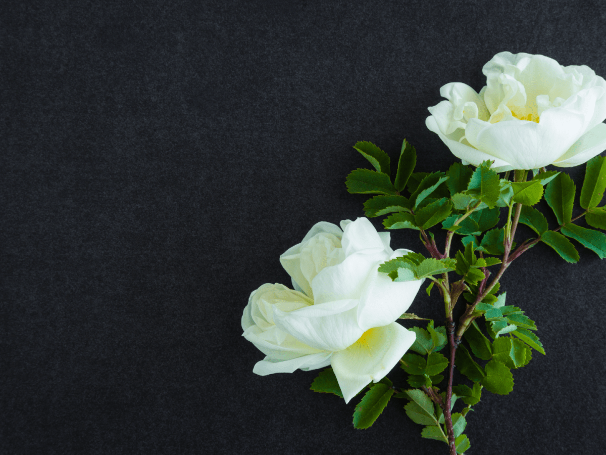 Dealing with Grief at&nbsp;Work