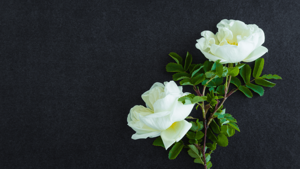 Dealing with Grief at&nbsp;Work